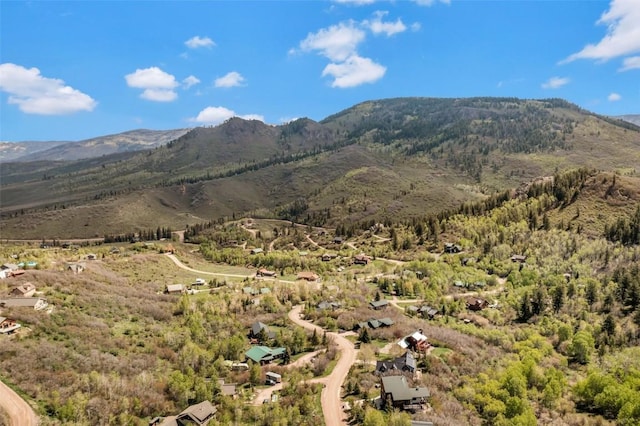 22970 Snowbird Way, Oak Creek, CO 80467