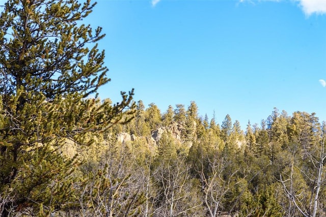 view of nature featuring a view of trees
