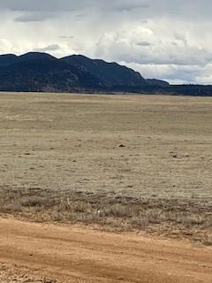 5251 Summit Rd, Hartsel, CO 80449