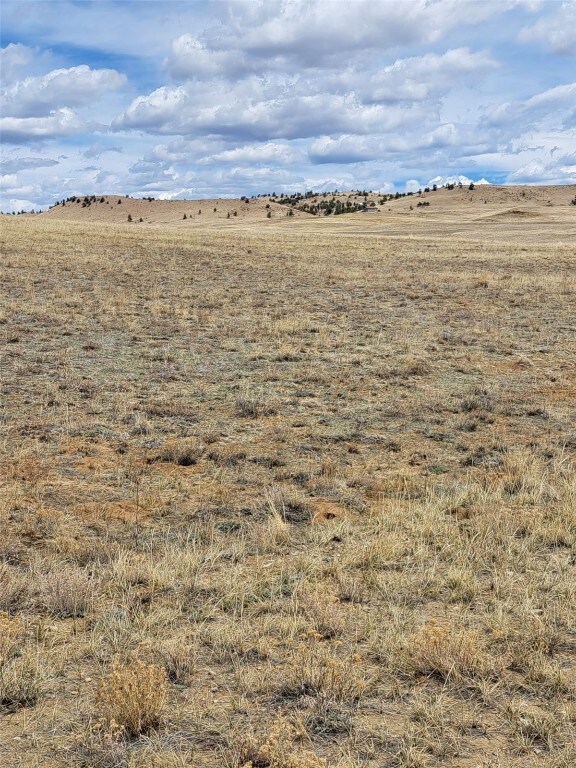 205 Clear Creek Ct, Hartsel, CO 80449 - photo 12