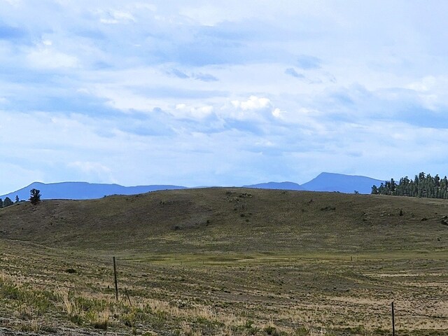 384 Cathy Dr, Hartsel, CO 80449 - photo 24