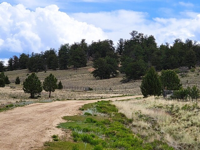 384 Cathy Dr, Hartsel, CO 80449 - photo 20