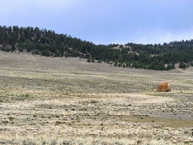 384 Cathy Dr, Hartsel, CO 80449 - photo 12