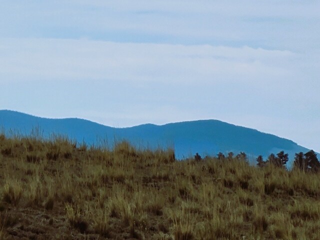 384 Cathy Dr, Hartsel, CO 80449 - photo 32