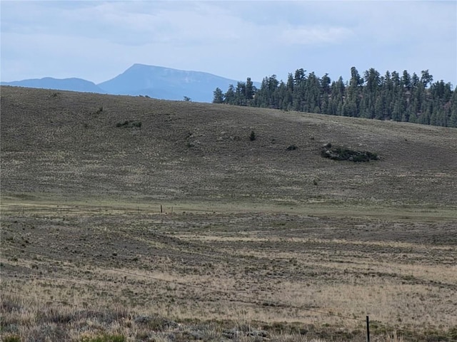 384 Cathy Dr, Hartsel, CO 80449 - photo 3