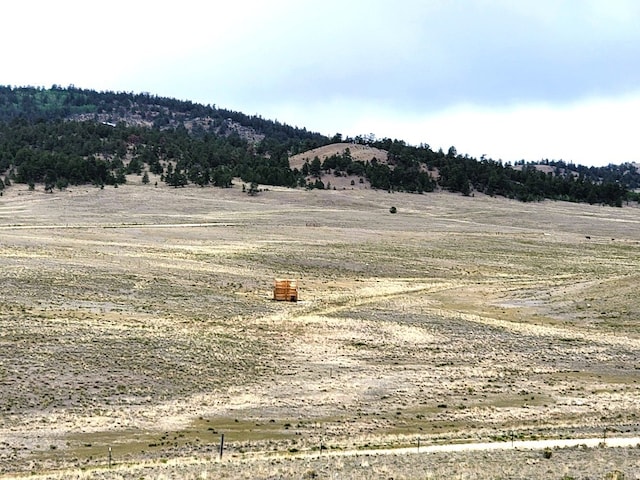 384 Cathy Dr, Hartsel, CO 80449 - photo 29