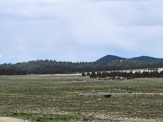384 Cathy Dr, Hartsel, CO 80449 - photo 17