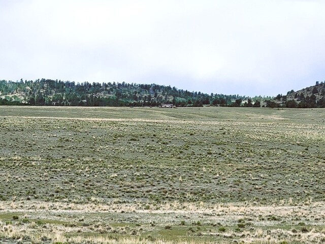 384 Cathy Dr, Hartsel, CO 80449 - photo 11