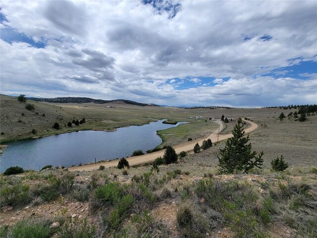384 Cathy Dr, Hartsel, CO 80449 - photo 4