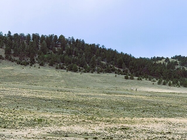 384 Cathy Dr, Hartsel, CO 80449 - photo 15