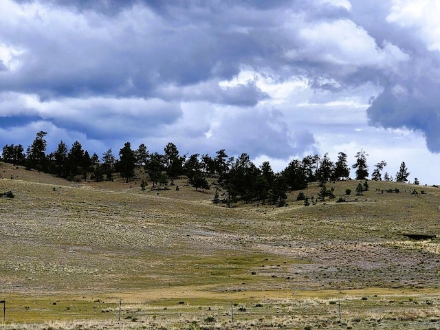 384 Cathy Dr, Hartsel, CO 80449 - photo 10