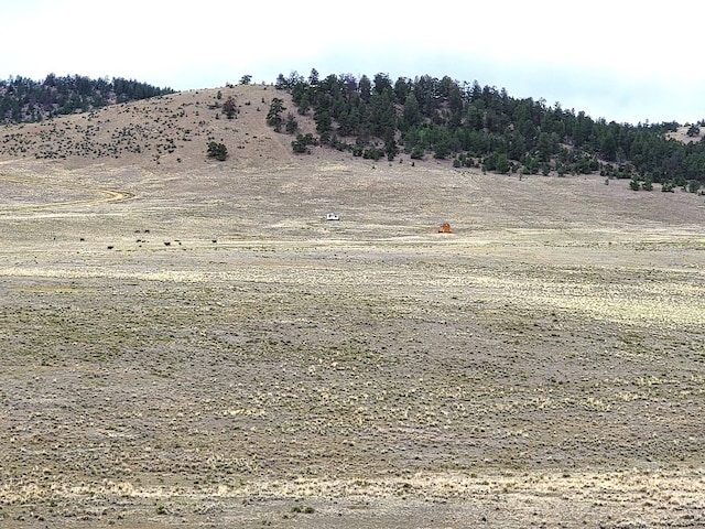 384 Cathy Dr, Hartsel, CO 80449 - photo 30