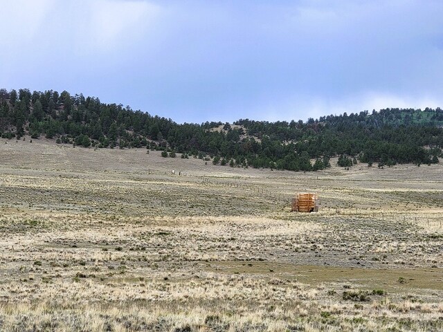 384 Cathy Dr, Hartsel, CO 80449 - photo 14