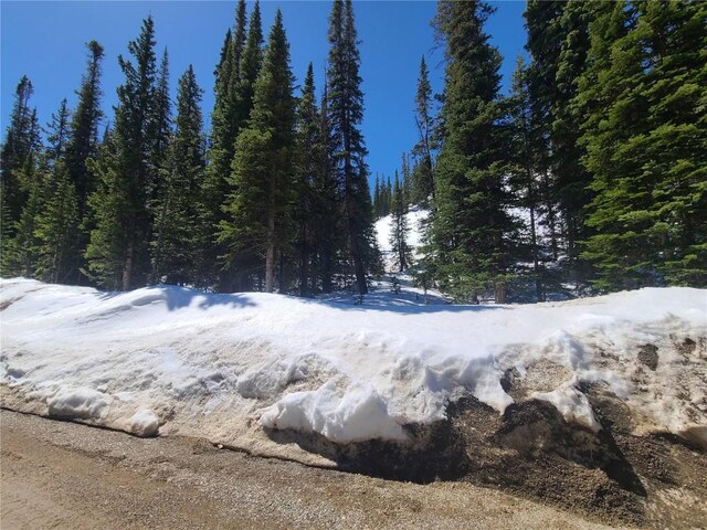 501 Kimmes Ln, Breckenridge, CO 80424