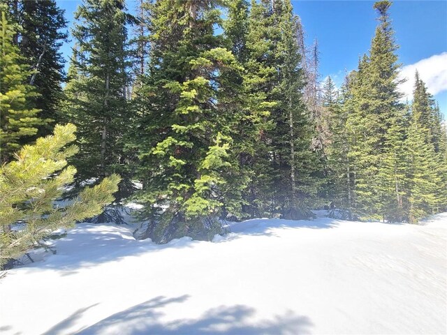 501 Kimmes Ln, Breckenridge, CO 80424
