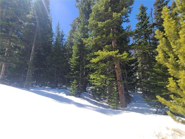 501 Kimmes Ln, Breckenridge, CO 80424