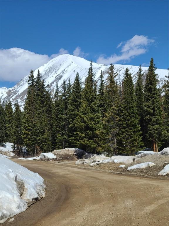 501 Kimmes Ln, Breckenridge, CO 80424