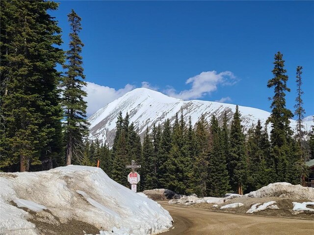 501 Kimmes Ln, Breckenridge, CO 80424