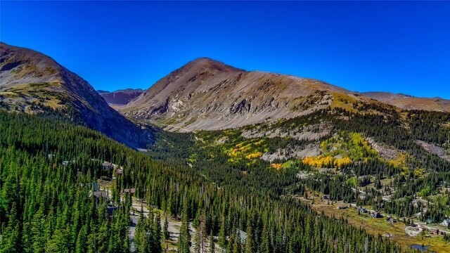 501 Kimmes Ln, Breckenridge, CO 80424