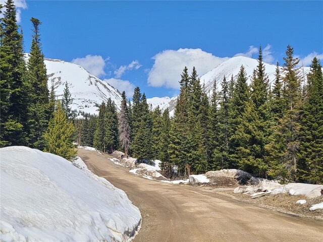 501 Kimmes Ln, Breckenridge, CO 80424