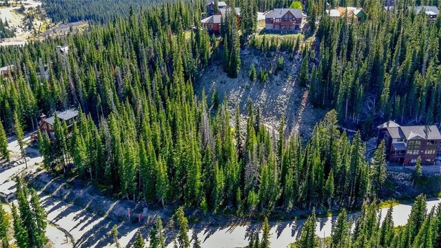 501 Kimmes Ln, Breckenridge, CO 80424