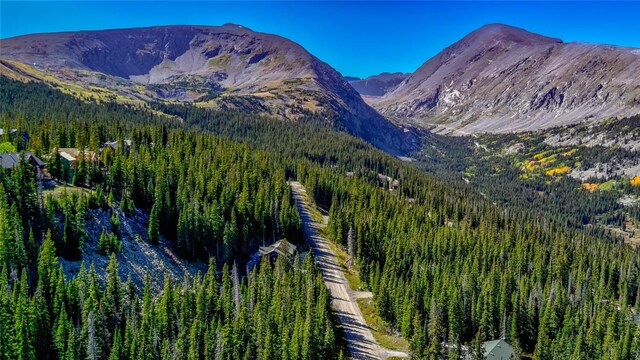 501 Kimmes Ln, Breckenridge, CO 80424