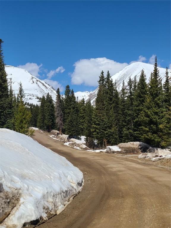 501 Kimmes Ln, Breckenridge, CO 80424