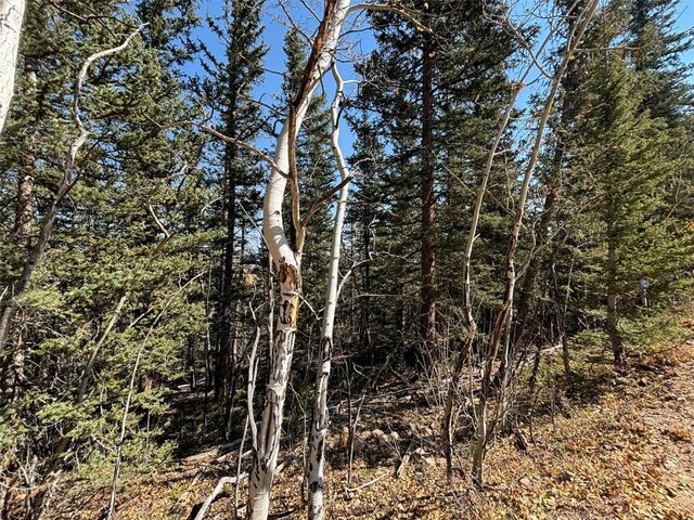 00 Boreas Cir, Jefferson, CO 80456