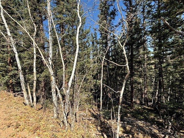 00 Boreas Cir, Jefferson, CO 80456