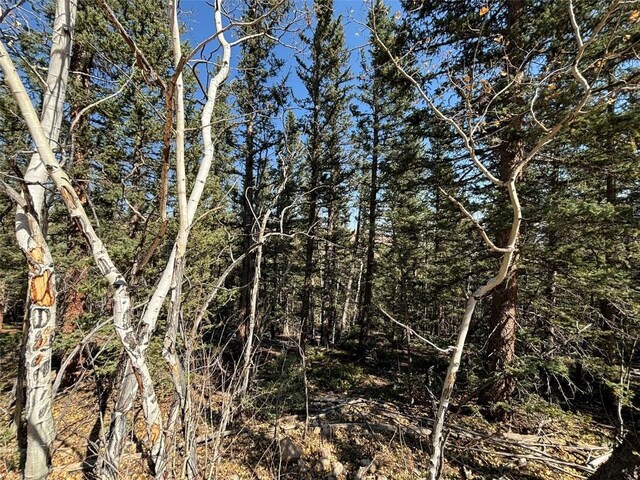 00 Boreas Cir, Jefferson, CO 80456