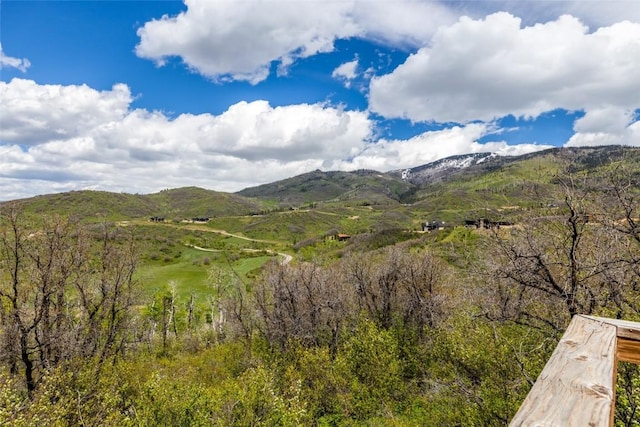 34315 Panorama Dr, Steamboat Springs, CO 80487 - photo 3