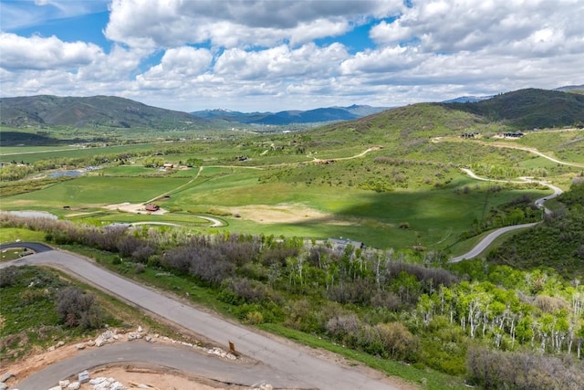 34315 Panorama Dr, Steamboat Springs, CO 80487 - photo 13