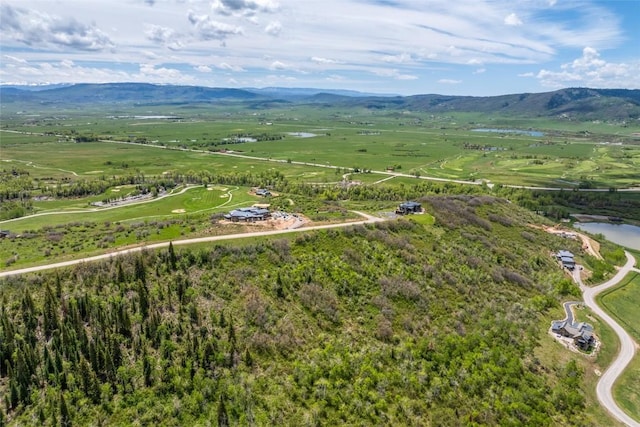 34315 Panorama Dr, Steamboat Springs, CO 80487 - photo 17