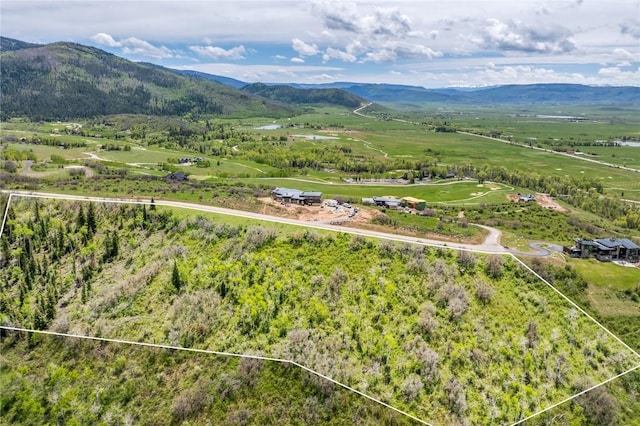 34315 Panorama Dr, Steamboat Springs, CO 80487 - photo 5