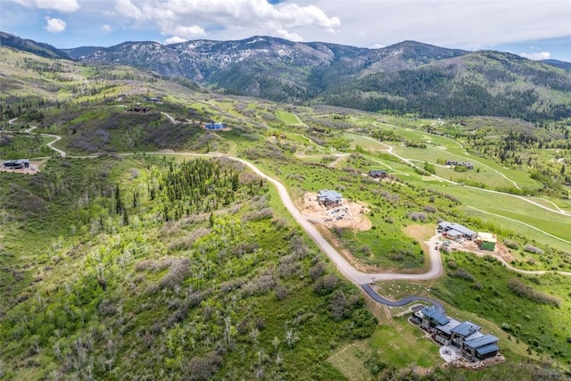 34315 Panorama Dr, Steamboat Springs, CO 80487 - photo 16
