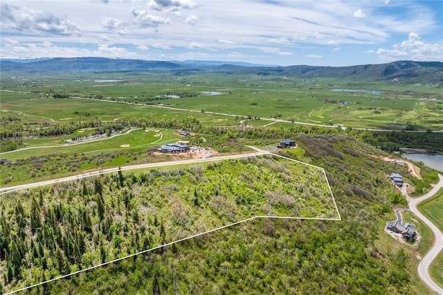 34315 Panorama Dr, Steamboat Springs, CO 80487 - photo 20
