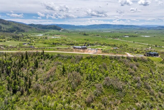 34315 Panorama Dr, Steamboat Springs, CO 80487 - photo 4