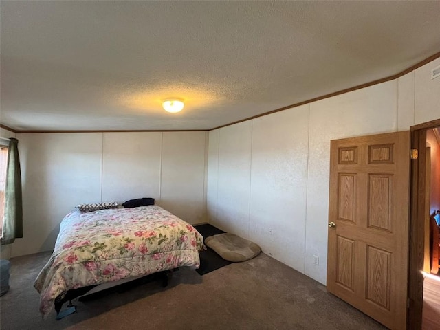 315 E 1st St, Oak Creek, CO 80467 - carpeted bedroom featuring ornamental molding and a textured ceiling