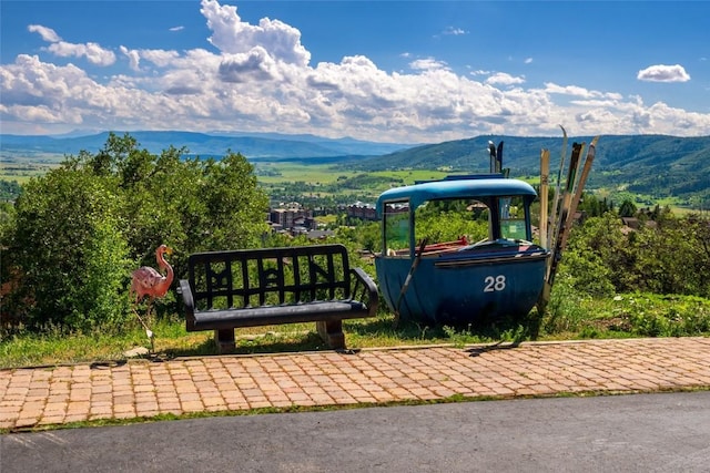 2350 Glacier Rdg, Steamboat Springs, CO 80487 - surrounding community with a mountain view