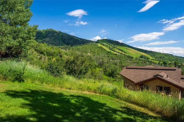 2350 Glacier Rdg, Steamboat Springs, CO 80487 - property view of mountains featuring a forest view