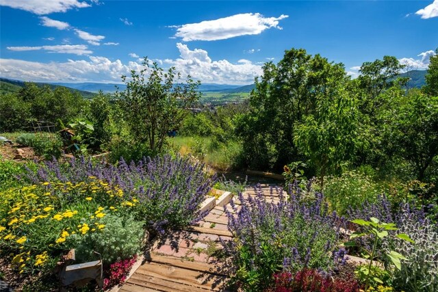 2350 Glacier Rdg, Steamboat Springs, CO 80487 - property view of mountains