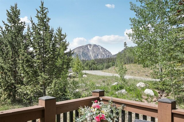 440 Two Cabins Dr, Silverthorne, CO 80498 - photo 3