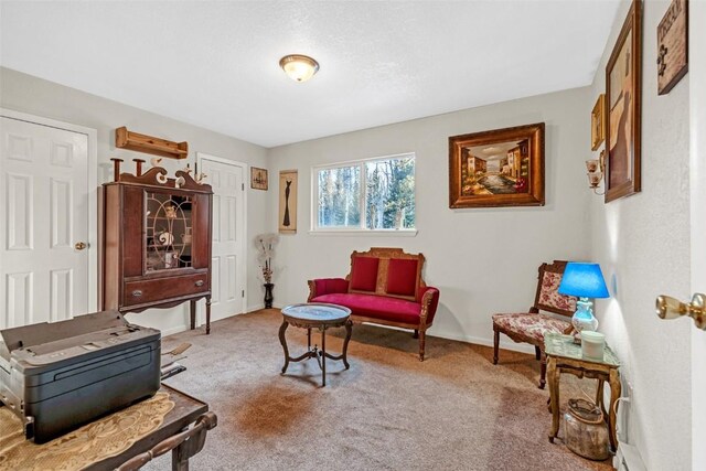 850 Georgia Pass, Lookout, Jefferson, CO 80456 - sitting room with carpet flooring and baseboards