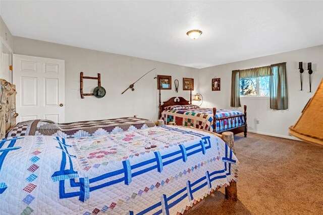 850 Georgia Pass, Lookout, Jefferson, CO 80456 - bedroom with carpet floors