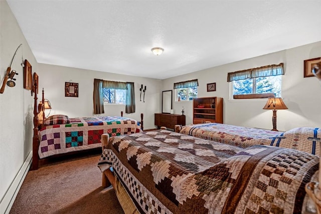 850 Georgia Pass, Lookout, Jefferson, CO 80456 - bedroom with baseboard heating, baseboards, and carpet flooring