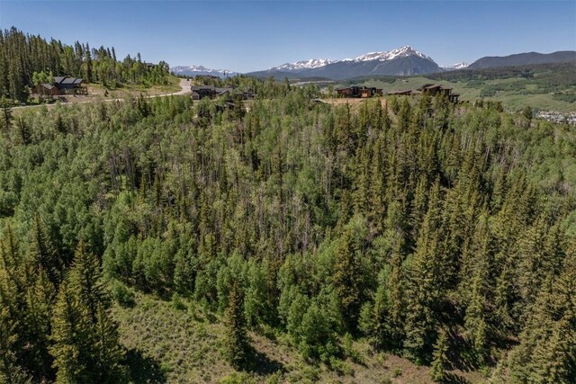 70 Mayfly Dr, Silverthorne, CO 80498