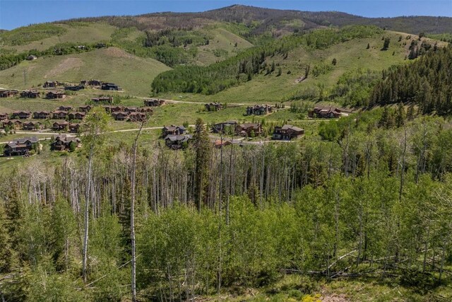 70 Mayfly Dr, Silverthorne, CO 80498