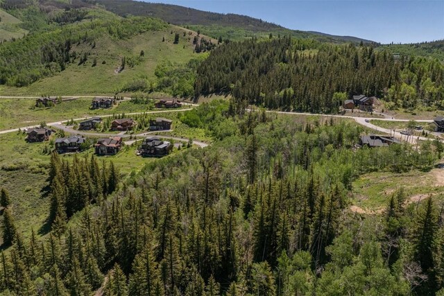 70 Mayfly Dr, Silverthorne, CO 80498
