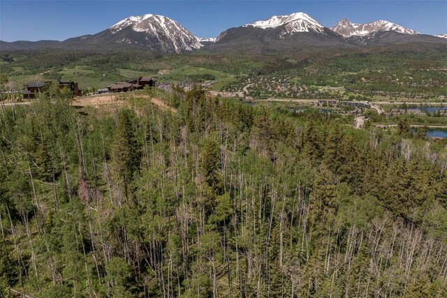 70 Mayfly Dr, Silverthorne, CO 80498