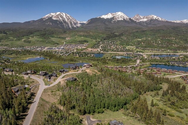 70 Mayfly Dr, Silverthorne, CO 80498